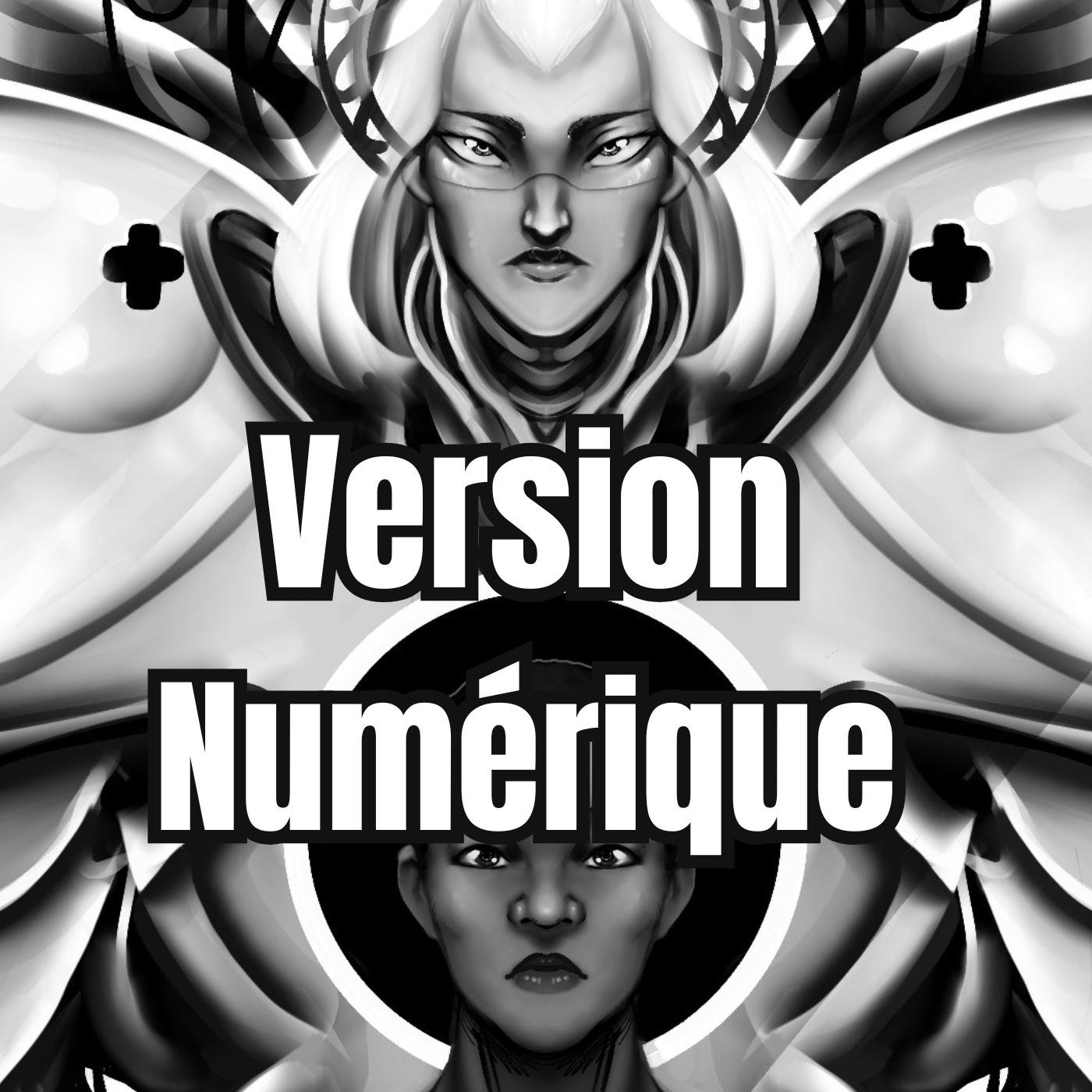 Sang noir Tome 2 ( numérique )